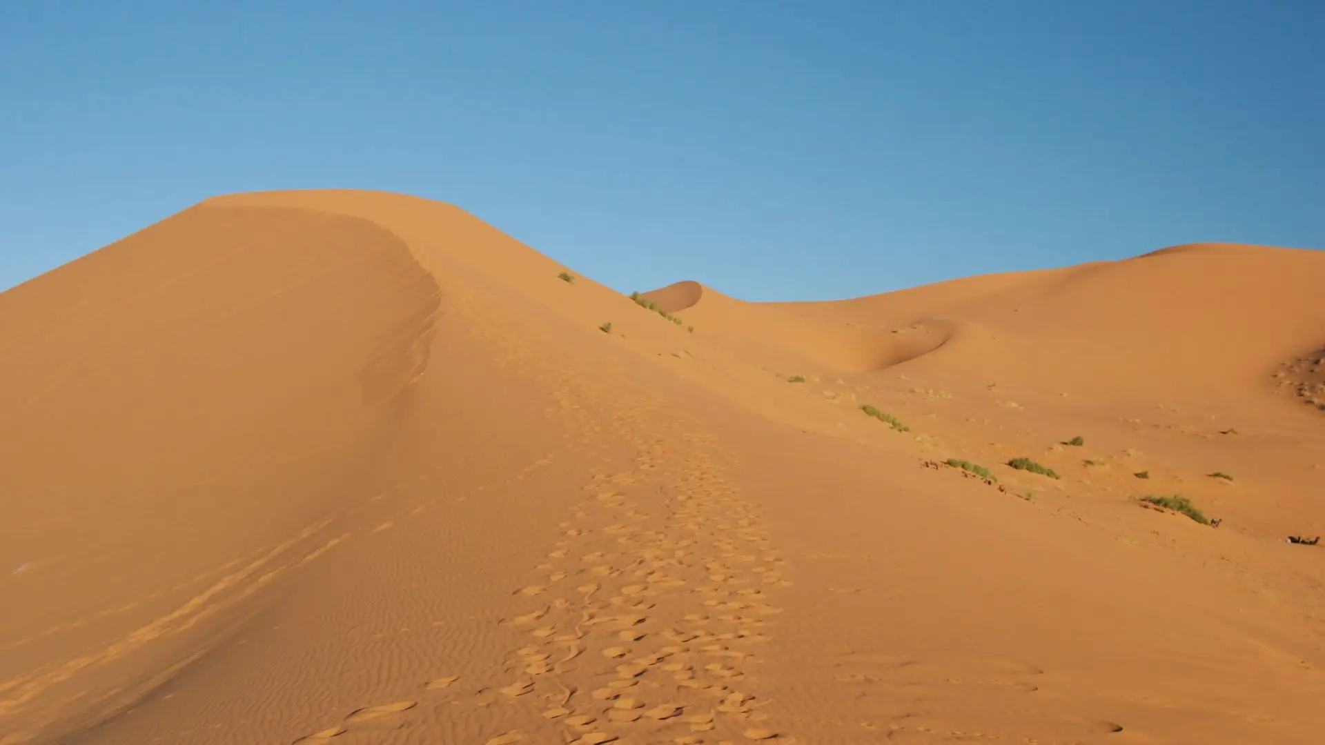 De_Ruta_Por_Marruecos_Desierto_Merzouga